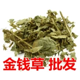 Большой лист деньги трава 3 фунта бесплатная доставка Гуанджин трава китайские травяные лекарственные материалы с денежной травой 500 г грамм