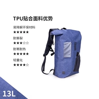 13L Снежинка Blue-TPU