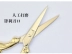 Dụng cụ làm móng Kéo Kẹp Giấy Kéo bằng thép không gỉ Retro Mạ vàng Nhật Bản Cắt lông mày sắc nét Kéo làm đẹp Kéo - Công cụ Nail