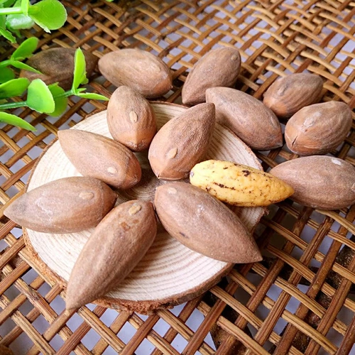 Положите сестринскую кастрюлю New Goods Zhuji Maple Bridge
