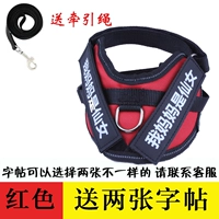 Красная тетрадь с поводком