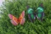Mô phỏng bướm trang trí bướm nhựa treo tường sticker cỏ bóng hoa trang trí mô phỏng động vật - Hoa nhân tạo / Cây / Trái cây