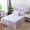 Cotton phiên bản Hàn Quốc của dày 120 giường trải giường đơn mảnh ren chăn bông trải giường 150 tấm 180 đặc biệt 2 mét