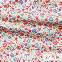 № 24 Санноми