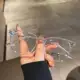 Прозрачный белый