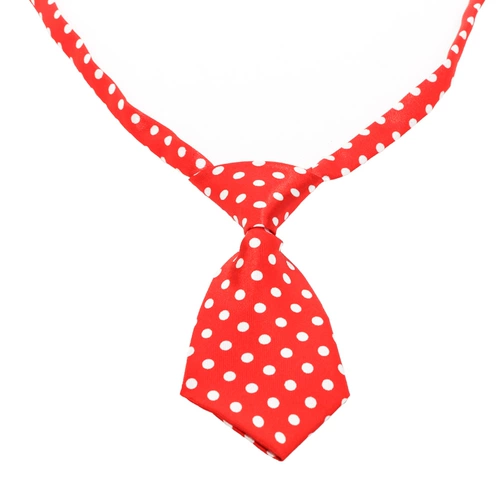 Воротник, ведущий собаку, питомец