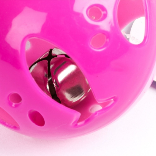 Большой колокольчик, игрушка, кот, домашний питомец