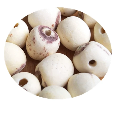 Семена Спип Пиппи белый лотос, чтобы пойти в основной фермерский дом, семена Сян Лотос сухие товары 250 г новые семена лотоса полны бесплатной доставки