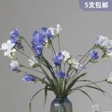 Xiangxuelan Simulation Cymbidium шелк цветочный цветок свадебная рука цветущая столовая столовая цветочная декора