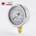 Đồng hồ đo áp suất chống sốc Hongqi YTN-60 0-1MPa Đồng hồ đo áp suất chứa đầy dầu 