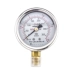 Đồng hồ đo áp suất chống sốc Hongqi YTN-60 0-1MPa Đồng hồ đo áp suất chứa đầy dầu 