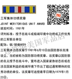 American Collective Короткая награда заслуженного подразделения
