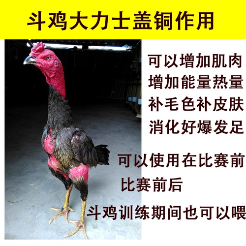 Борьба с курицей Douji Tuning Chicken Fighting Fighting Copy Copy Copper курица продукты фармацевтическая фармацевтическая карта