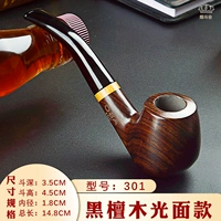 Ebony (модель модели 301-го света модели)