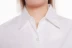 Giải phóng mặt bằng mùa thu dài tay áo sơ mi trắng nữ bông cardigan phù hợp với đáy áo sơ mi Hàn Quốc áo sơ mi trắng chuyên nghiệp áo sơ mi