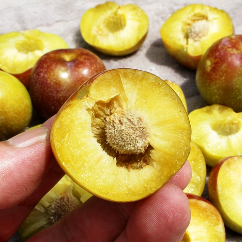 Spot Sichuan Lizi Fresh Fruit 5 фунтов беременных женщин у беременных в сезон всей коробки с костяным мусором Lizi Half Red Red Li Qing Crispy