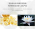 Xuanyuan ma thuật nam tự nhiên của kem che khuyết điểm màu sắc tự nhiên màu lúa mì bìa mụn marks vết bẩn mắt đen trang điểm 	mỹ phẩm dành cho nam da khô	 Mỹ phẩm nam giới
