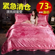 Khăn trải giường bằng vải cotton bốn mảnh satin châu Âu 1.5 1.5 2.0m bộ đồ giường mùa thu và mùa đông