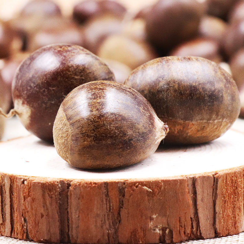 栗客行动 2018年迁西板栗子现摘新鲜板粟生板栗5斤装板栗 生 新鲜_天