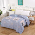 chăn dày duy nhất mảnh 1.8x2.0 ký túc xá Single Double 1,5m Khăn mùa đông ba mảnh - Quilt Covers chăn phao cao cấp	 Quilt Covers