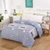 chăn dày duy nhất mảnh 1.8x2.0 ký túc xá Single Double 1,5m Khăn mùa đông ba mảnh - Quilt Covers chăn ga gối everon 2020 Quilt Covers