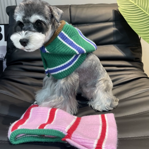 СОБАКА ПЕЧАТКА ШАЛИ В ЗИМА