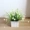 Hoa trang trí nhân tạo trang trí hoa giả phòng khách bàn hoa nhẹ nhàng cắm hoa bó hoa khô nhà nhỏ - Trang trí nội thất