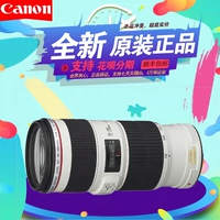 Canon EF 70-200mm F4L IS Ống kính SLR Canon 70-200 4L IS IS nhỏ màu trắng len máy ảnh