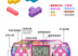 Đầy đủ 8 nhân dân tệ vận chuyển nhỏ cầm tay cầm tay nhỏ game console cầm tay thời thơ ấu cổ điển cổ điển Tetris máy chơi game minecraft cầm tay Bảng điều khiển trò chơi di động