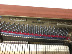 Đàn piano cũ Quảng Châu nhập khẩu Hàn Quốc đàn piano đã qua sử dụng Sanyi SC-504 màu gỗ tốt - dương cầm cdp s100 dương cầm