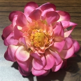 Шестое место поющего цветочного кольца цветочные часы