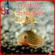 2CM Pearl Rat 2 Установка