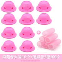 Грибные рулоны большие 10+2 см 6