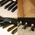 [Tìm kiếm dịch vụ khách hàng mua giá thấp] Pearl River mới dạy đàn piano hiệu suất chuyên nghiệp UP120MSY 121S
