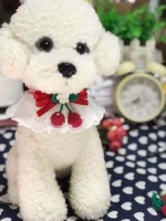 Цвет лотоса