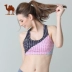 Áo ngực thể thao lạc đà cường độ cao đồ lót thể thao phụ nữ tập hợp chống sốc tập thể dục yoga làm đẹp trở lại áo ngực - Đồ lót thể thao