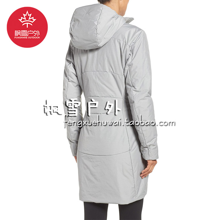 north face apex flex gtx 2l snow jacket