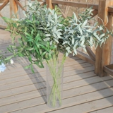 Оливковые ветви симуляция свадебная день