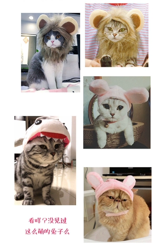 ПЭТ -головная дыра, собачья собака универсальная милая шляпа собака голова головы ювелирные изделия забавные сцены