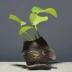 Sáng tạo gốm xanh nước thủy canh thực vật thủy tinh lọ hoa bình hoa container chậu trang trí bàn trang trí - Vase / Bồn hoa & Kệ