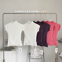 朵来美 Tide, розовая футболка, лонгслив, дизайнерский корсет, топ, популярно в интернете, высокий воротник, тренд сезона