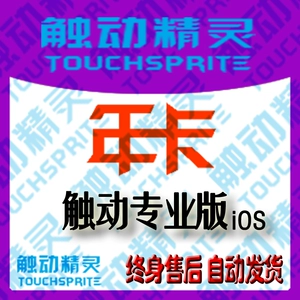 Touch Elf | Профессиональное издание | Новая годовая карта | 24H Автоматическая доставка | Код активации | Код авторитета | 366 дней | Yiyi