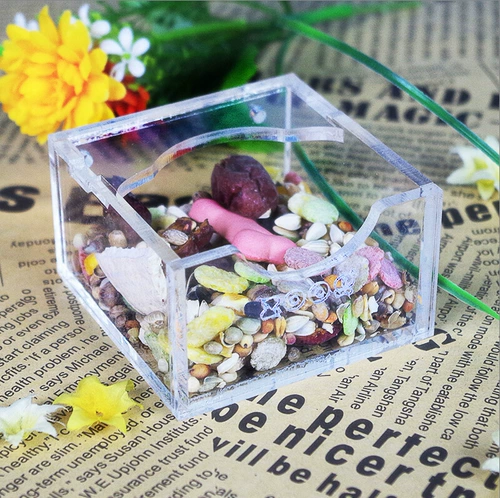 Zoog Yayli Ham Hag Basin Group Group Getkou Crystal Прозрачные продукты домашних животных золотой шелковый медвежь