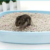 Моча хомяка снабжает песчаным туалетом летняя подушка деревянная щепа небольшая моча золото шелковое медведь охлаждающая подушка