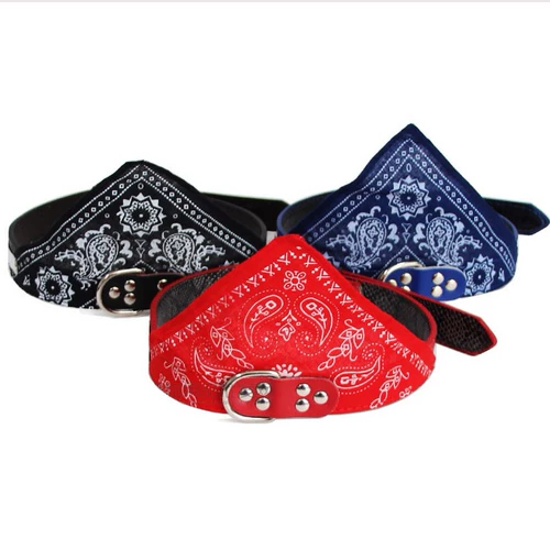 Шарф, ремень, пряжка, колокольчик, шейный платок, аксессуар, галстук, домашний питомец