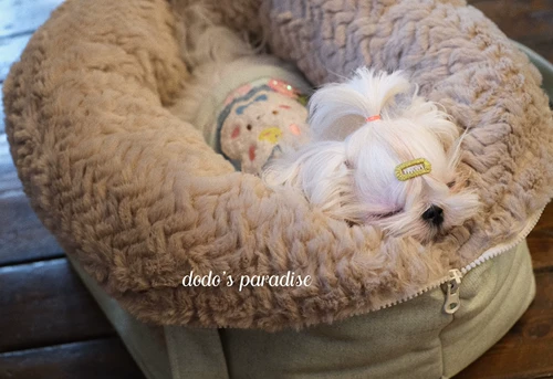 Spot R Корейская версия домашних животных и собак Тедди Кингс Летнюю осень осень и зимняя машина выходит из сумки гнездо.