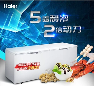 Haier/Haier BC/BD-519/719 tủ đông lớn tủ đông thịt đông lạnh tủ thực phẩm thương mại tủ nhiệt độ đơn