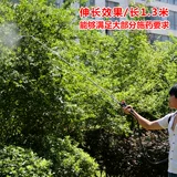 Сельскохозяйственный антибактериальный электрический электрораспылитель из нержавеющей стали, аксессуары