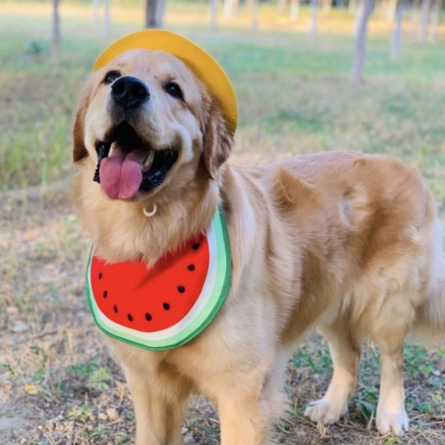 Милый водонепроницаемый слюнявчик, нагрудник, шарф, подходит для подростков