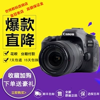 Máy ảnh DSLR chính hãng Canon Canon EOS 80D18-135USM chính hãng được cấp phép chính hãng - SLR kỹ thuật số chuyên nghiệp máy ảnh sony alpha